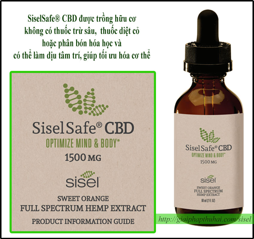 Sản phẩm SiselSafe CBD chiết xuất tinh chất từ cây Gai Dầu | Sản phẩm mới của SISEL
